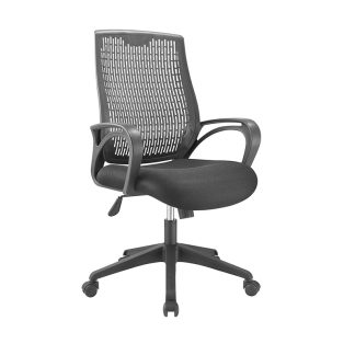 GP Mesh -Low Back