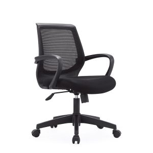 GP Mesh -Low Back