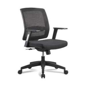 GP Mesh -Low Back