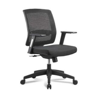 GP Mesh -Low Back