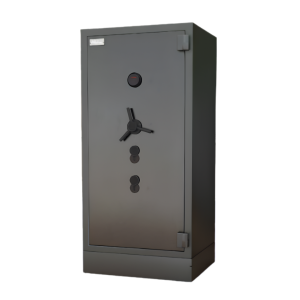 Bullion Safe